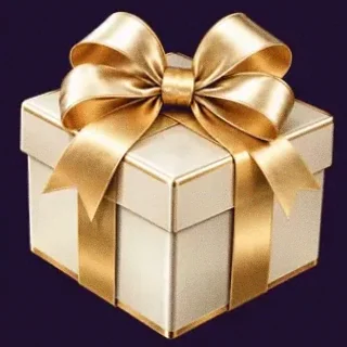 Gift box — Spinago