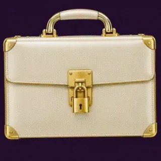 Locked leather briefcase — Spinago