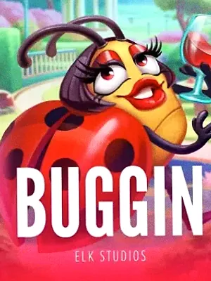 Buggin at Spinago