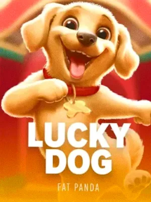 Lucky Dog at Spinago