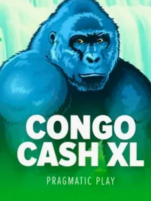 Congo Cash XL at Spinago